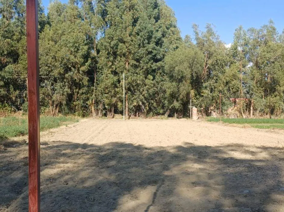 Foto 2 de Terreno en Venta
