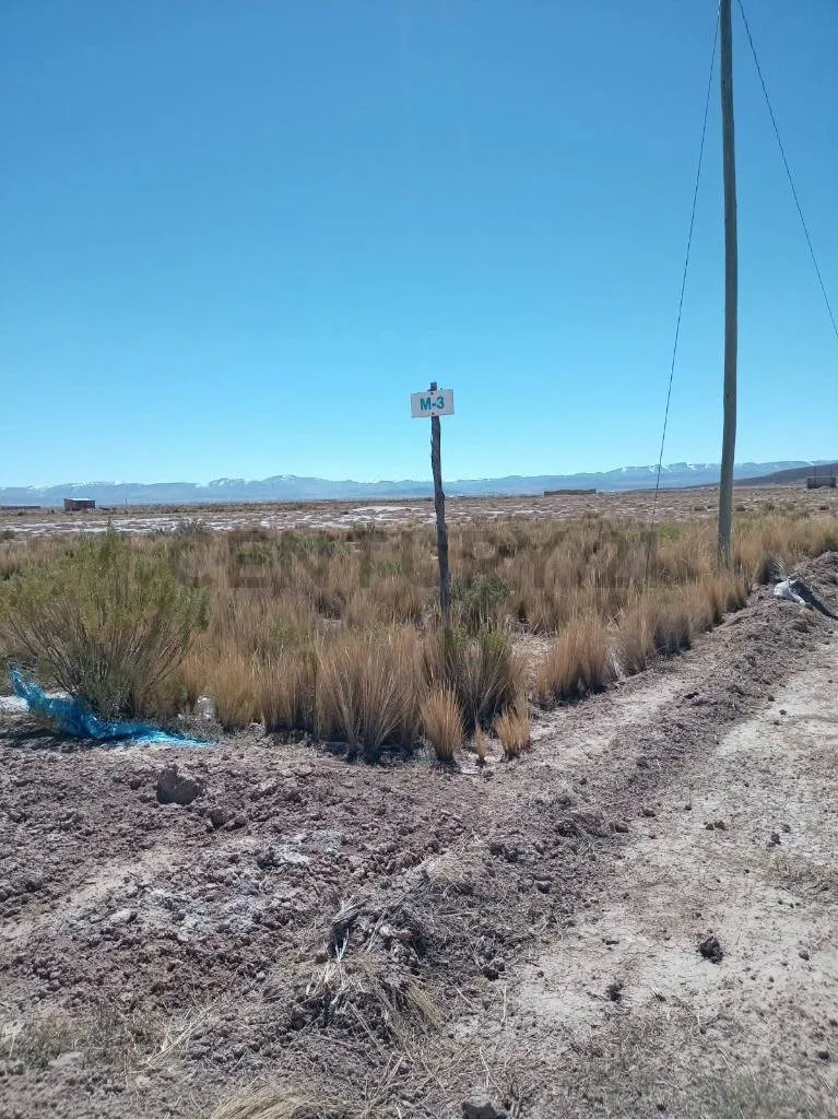 Foto 1 de terreno en venta zona norte
