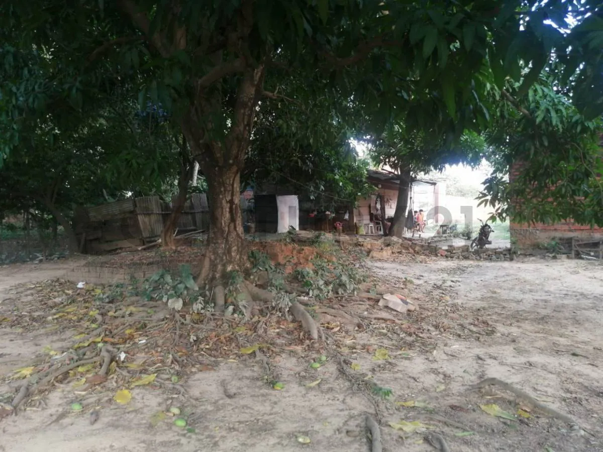 Foto 4 de Terreno en Venta