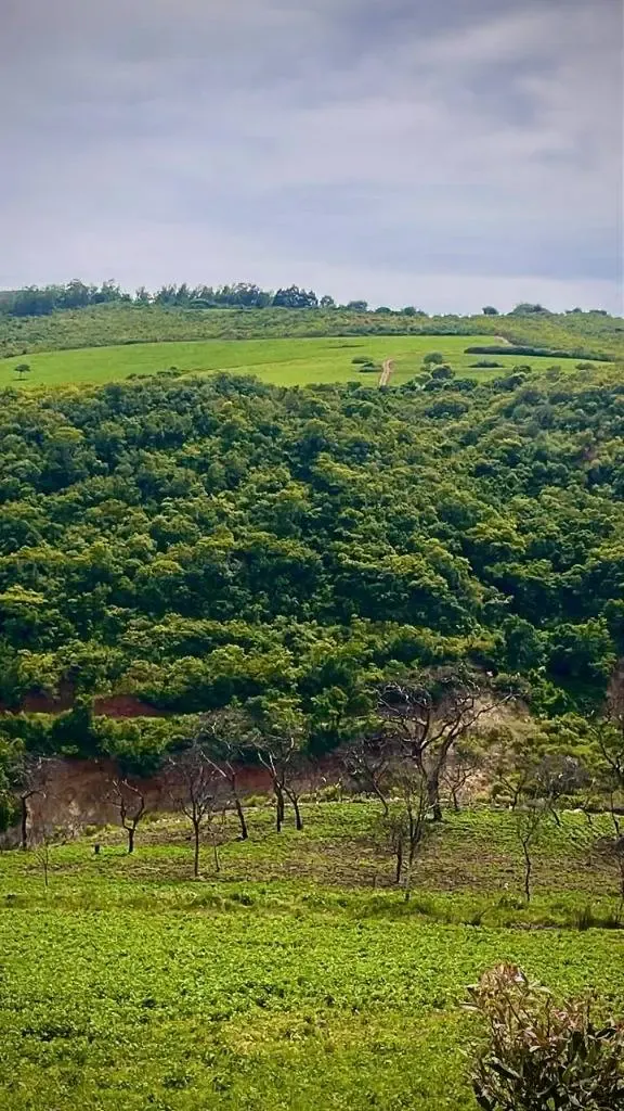 Foto 1 de Terreno en Venta Samaipata