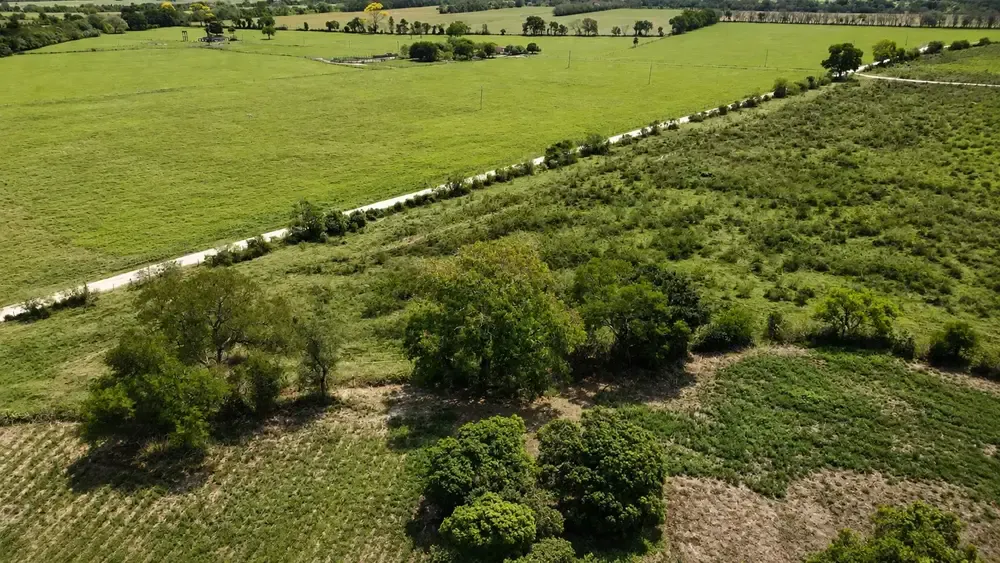 Foto 5 de 🌱 37 Hectáreas a Solo 4 Km de Montero | Tierra Productiva con Gran Potencial de Inversión y Desarrollo