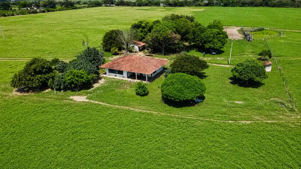 Foto 2 de 🌱 37 Hectáreas a Solo 4 Km de Montero | Tierra Productiva con Gran Potencial de Inversión y Desarrollo