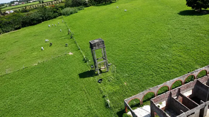 Foto 6 de 🌱 37 Hectáreas a Solo 4 Km de Montero | Tierra Productiva con Gran Potencial de Inversión y Desarrollo
