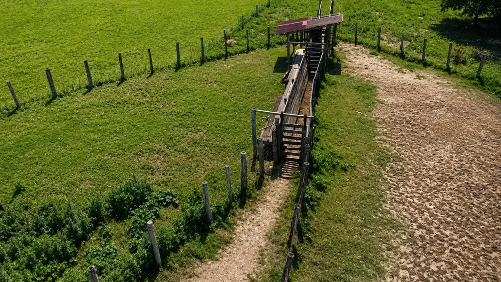 Foto 4 de 🌱 37 Hectáreas a Solo 4 Km de Montero | Tierra Productiva con Gran Potencial de Inversión y Desarrollo