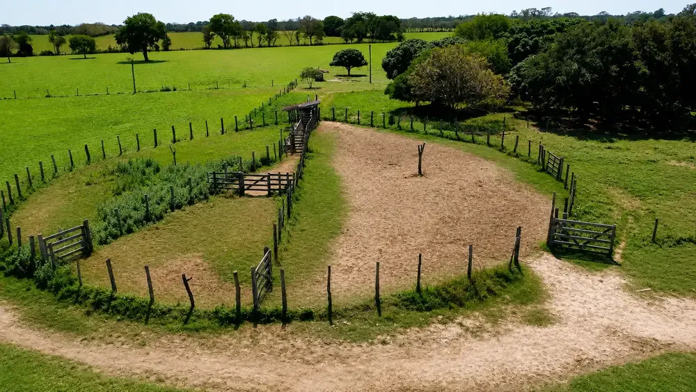 Foto 9 de 🌱 37 Hectáreas a Solo 4 Km de Montero | Tierra Productiva con Gran Potencial de Inversión y Desarrollo