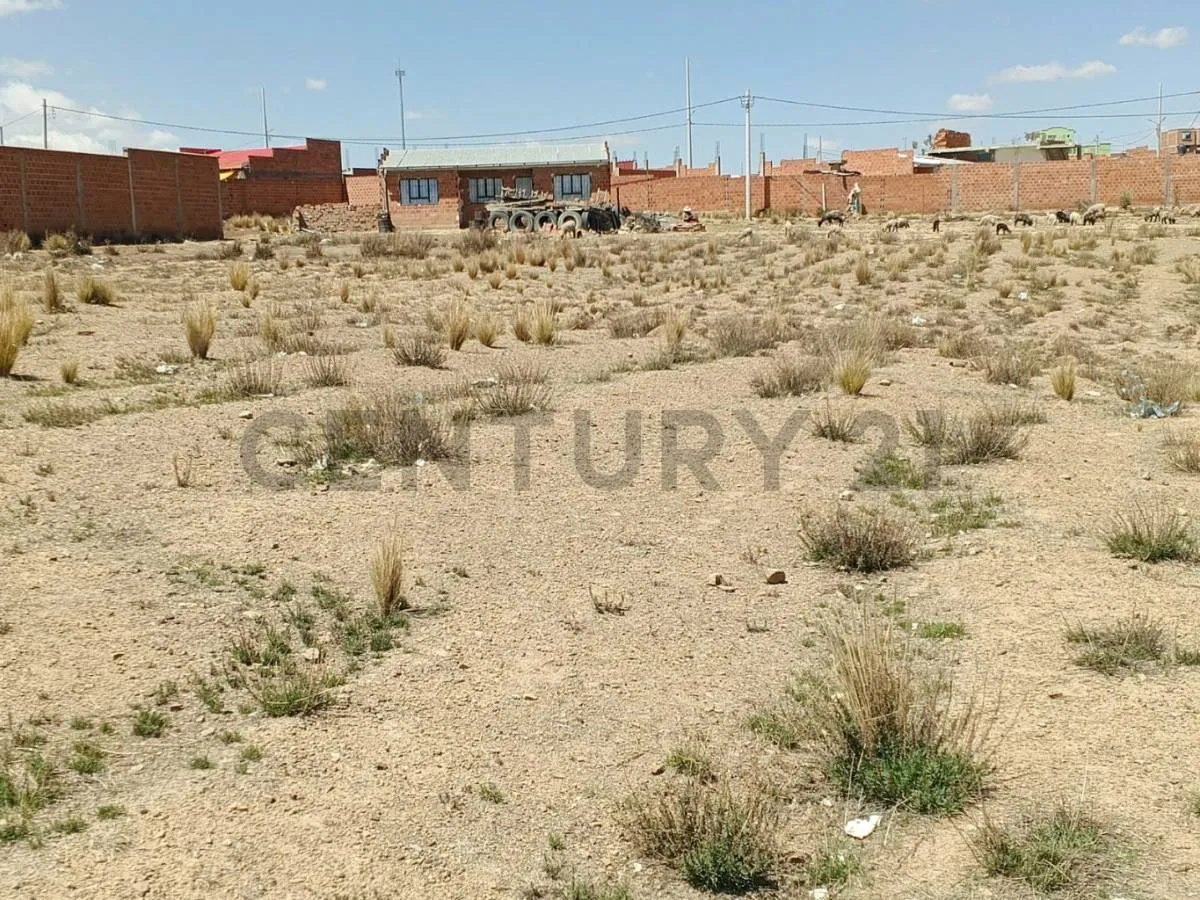 Foto 1 de Lotes de Terreno en Venta Carretera El Alto-Oruro(Sector Samo)