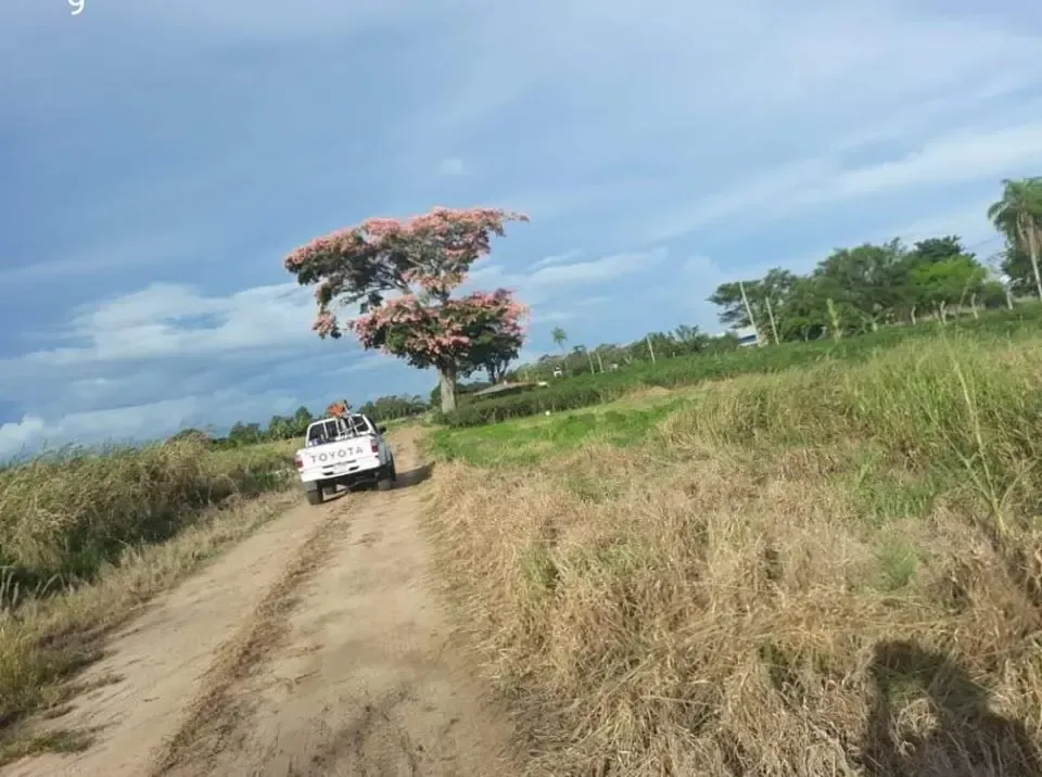 Foto 2 de Terreno en Alquiler Sobre Carretera Scz Km 23 Oferta Única Disponible