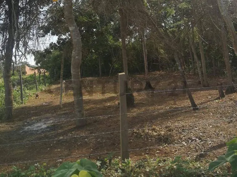 Foto 11 de Urbanización El Paquió de Magdalena!!