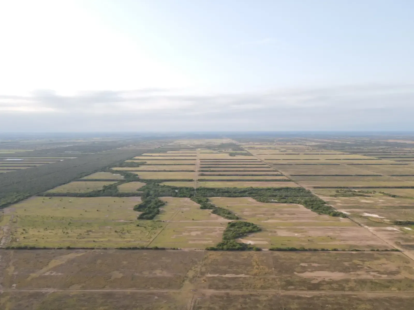 Foto 5 de Propiedad Agricola Y Ganadera En Venta Sobre Carretera