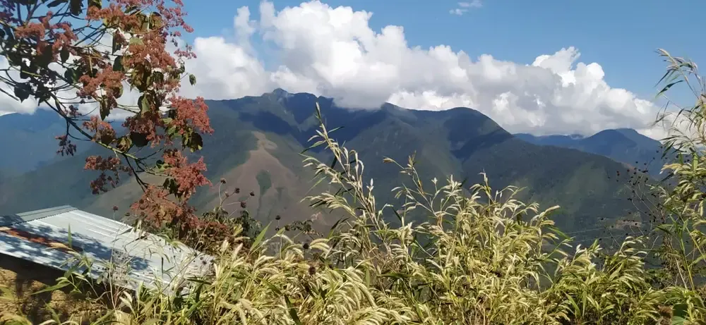 Foto 4 de Invierte en uno de los destinos más atractivos de Coroico! 🌿