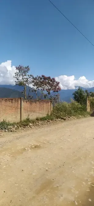 Foto 1 de Invierte en uno de los destinos más atractivos de Coroico! 🌿