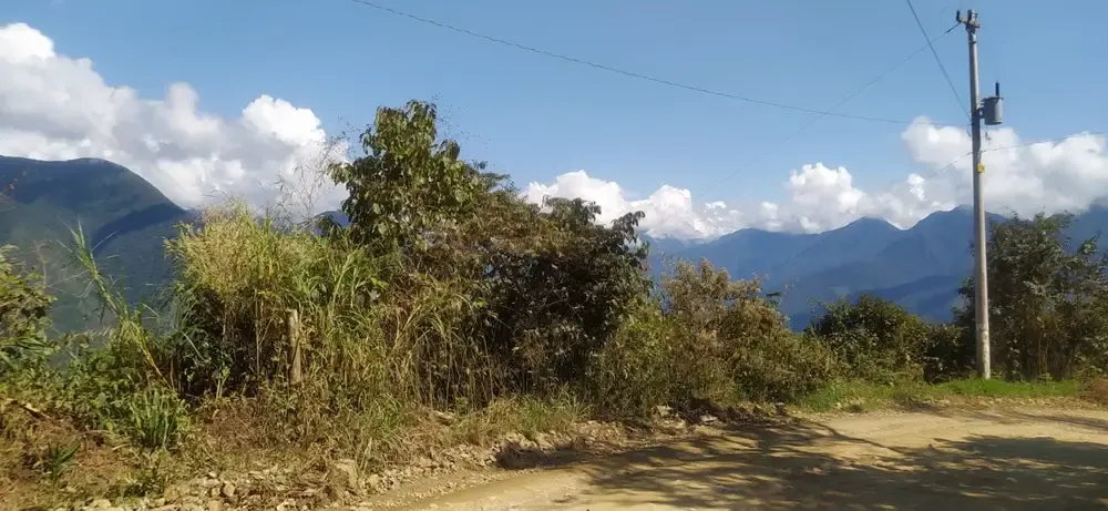 Foto 2 de Invierte en uno de los destinos más atractivos de Coroico! 🌿